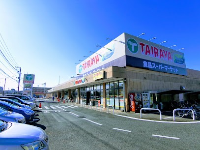 ӊ@X[p[ 1000m TAIRAYAX
