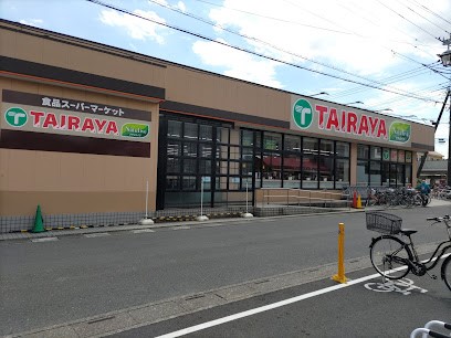 ӊ@X[p[ 600m TAIRAYARuX