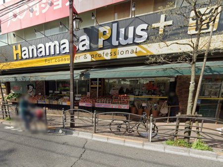 ӊ@X[p[ 300m Hanamasa Plus nX